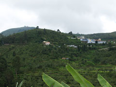 Ausblick von Shembaganur auf die umliegenden Hügel
