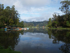 Toxic Lake in Kodaikanal